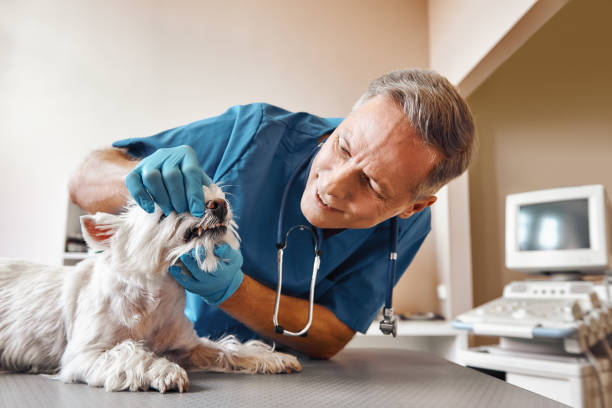 Best Emergency Dental Surgery in Tyndall Af, FL