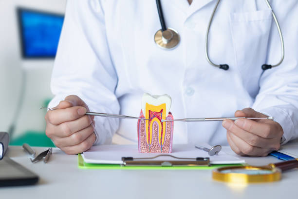 Best Pediatric Emergency Dentist in Tyndall Af, FL